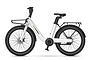MS Energy C 102 Elektrische Damesfiets 28 inch 48cm 3 klein