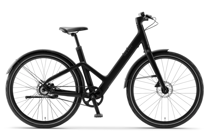 REANY Bike W1 Elektrische Damesfiets Belt Drive 2