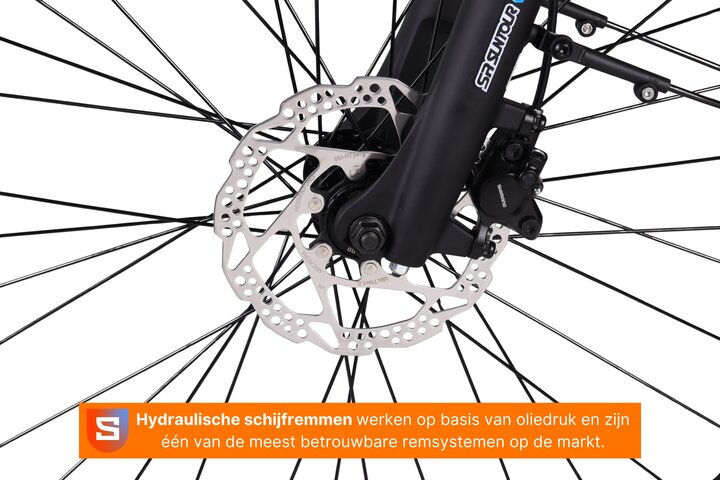 Altec Strada Elektrische Damesfiets 28 inch 50 cm 8v 10