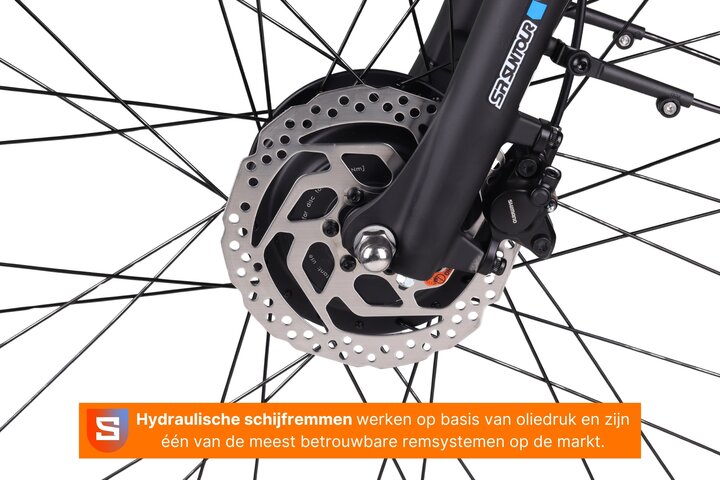 Altec Avia Elektrische Damesfiets 28 inch 50cm 8v 10