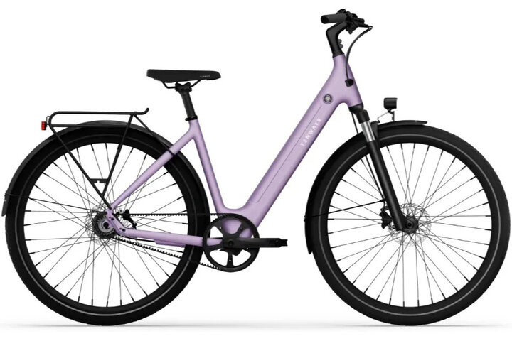 TENWAYS CGO800S Elektrische Damesfiets 48cm 1