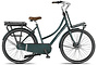 Altec Troja Elektrische Transportfiets 28 inch Hydraulische Schijfrem 53cm 7v 4 klein