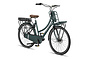Altec Troja Elektrische Transportfiets 28 inch Hydraulische Schijfrem 53cm 7v 6 klein