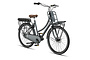 Altec Troja Elektrische Transportfiets 28 inch Hydraulische Schijfrem 53cm 7v 7 klein