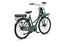 Altec Troja Elektrische Transportfiets 28 inch Hydraulische Schijfrem 53cm 7v 11 klein
