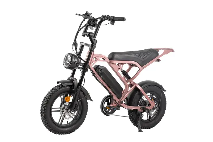 Ouxi V20 Pro Mini Fatbike max 25 km/h 4