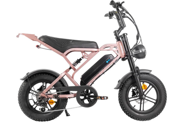 Ouxi V20 Pro Mini Fatbike max 25 km/h 1