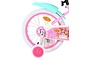 Paw Patrol Kinderfiets Meisjes 16 inch 8 klein