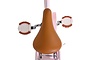 Volare Ashley Kinderfiets Meisjes 12 inch V-brakes 8 klein