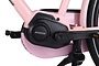 Altec Troja Elektrische Transportfiets 28 inch Hydraulische Schijfrem 53cm 7v 10 klein