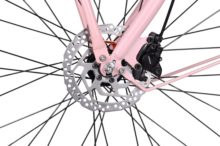 Altec Troja Elektrische Transportfiets 28 inch Hydraulische Schijfrem 53cm 7v 13