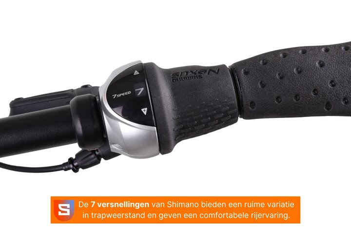 Altec Dynamic Elektrische Damesfiets 28 inch 48cm Belt 7v 6