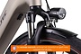 Altec Dynamic Elektrische Damesfiets 28 inch 48cm Belt 7v 11 klein