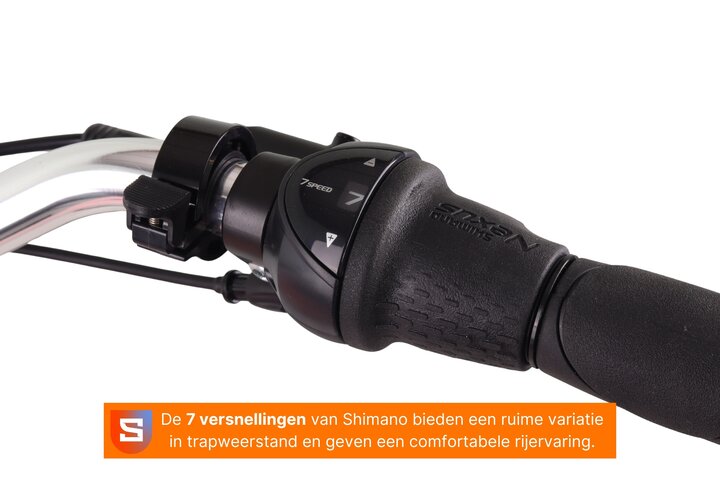 Altec Troja Elektrische Transportfiets 28 inch Hydraulische Schijfrem 53cm 7v 10