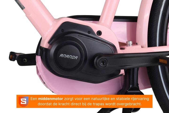 Altec Troja Elektrische Transportfiets 28 inch Hydraulische Schijfrem 53cm 7v 11