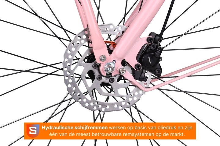 Altec Troja Elektrische Transportfiets 28 inch Hydraulische Schijfrem 53cm 7v 13