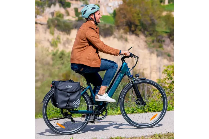 Fiido C11 Pro Elektrische Damesfiets 28 inch 7v 5