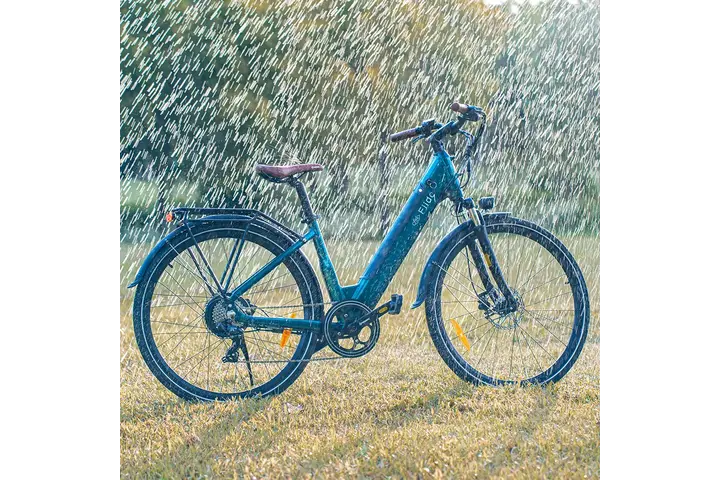 Fiido C11 Pro Elektrische Damesfiets 28 inch 7v 7