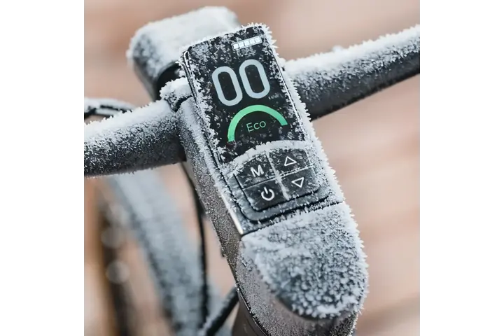 Fiido C21 Urban Elektrische Herenfiets 28 inch 54cm 7v 4