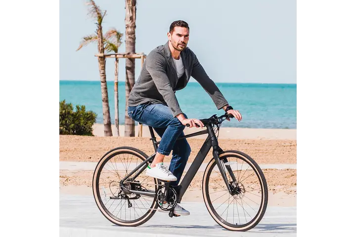 Fiido C21 Urban Elektrische Herenfiets 28 inch 54cm 7v 5