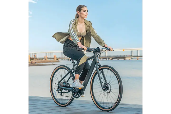 Fiido C21 Urban Elektrische Herenfiets 28 inch 54cm 7v 6