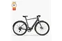 Fiido C21 Urban Elektrische Herenfiets 28 inch 54cm 7v 1 klein