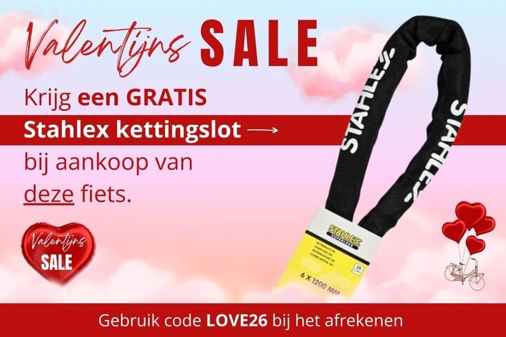 Altec Dance Elektrische Damesfiets 28 inch 48cm Belt 2