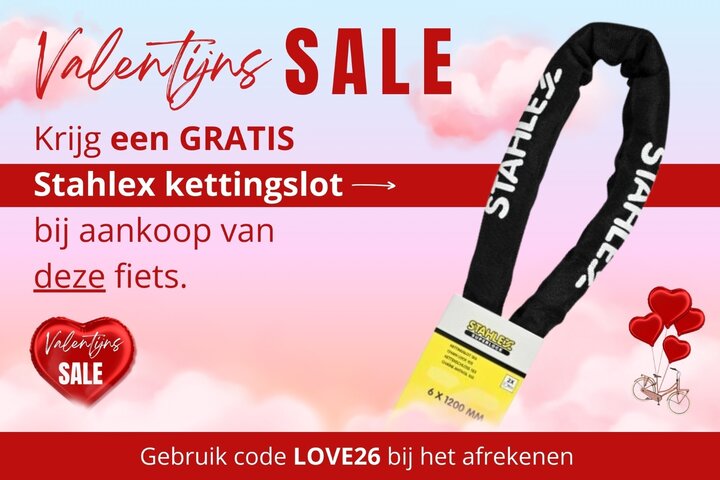 Altec Walesa Damesfiets 28inch 55cm Mat Zwart 3v 2