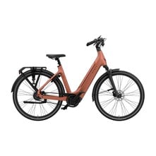 Vyber  Vyber XCITE Elektrische Damesfiets 28 inch 49cm 5v