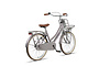 Altec Urban Kinderfiets Transport 24 inch 8 klein