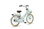Altec Urban Kinderfiets Transport 22 inch 5 klein