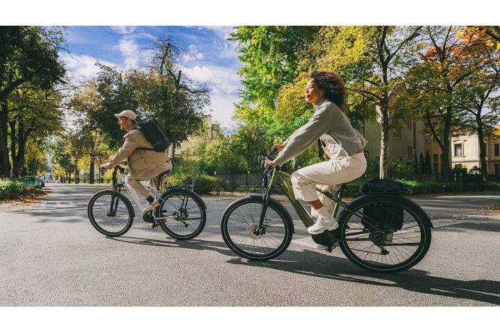 TENWAYS AGO X Special Edition Elektrische Herenfiets L (170 - 185 cm) 10v 15