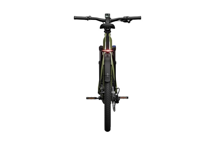 TENWAYS AGO X Special Edition Elektrische Herenfiets L (170 - 185 cm) 10v 20