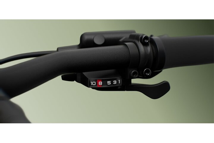 TENWAYS AGO X Special Edition Elektrische Herenfiets L (170 - 185 cm) 10v 11