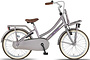 Altec Urban Kinderfiets Transport 20 inch 6 klein