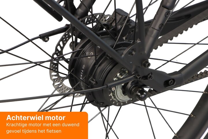 TENWAYS CGO009 New Edition Elektrische Herenfiets 13