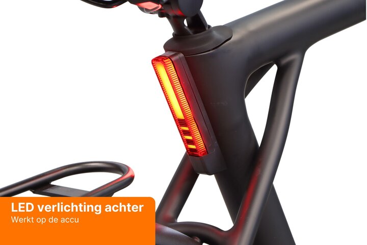 TENWAYS CGO009 New Edition Elektrische Herenfiets 17