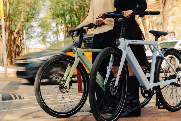 TENWAYS CGO009 Elektrische Herenfiets - afbeelding 4