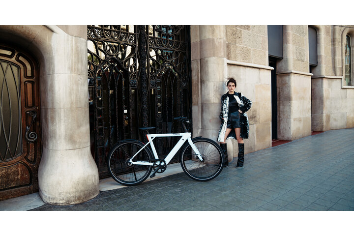 TENWAYS CGO009 New Edition Elektrische Herenfiets 5