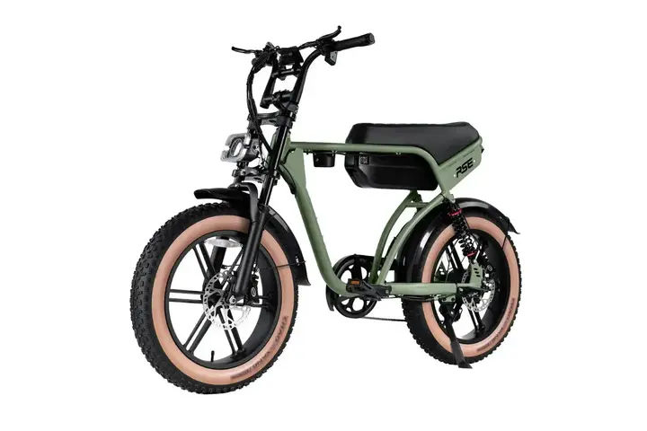 RSE Fatbike 20 inch 7v 10