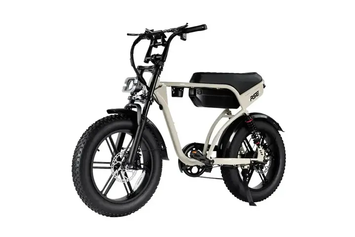 RSE Fatbike 20 inch 7v 9