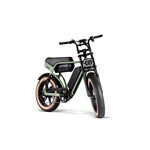RSE Fatbike 20 inch 7v *Dubbele Accu*