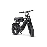 RSE Fatbike 20 inch 7v *Dubbele Accu*