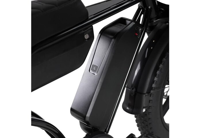 RSE Fatbike 20 inch 7v *Dubbele Accu* 4