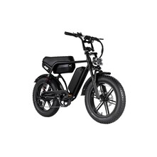 RSE RSE Plus Fatbike 20 inch 7v