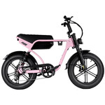RSE Fatbike 20 inch 7v