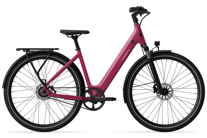 TENWAYS CGO800S Elektrische Damesfiets 48cm 1