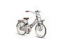 Altec Urban Kinderfiets Transport 20 inch 9 klein