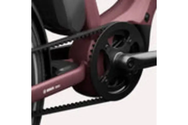 TENWAYS AGO COMPACT 20 inch Belt 6