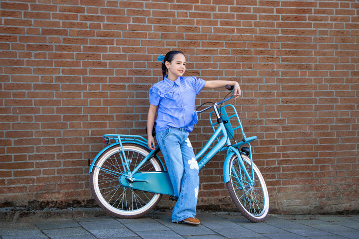 Altec Dutch Kinderfiets Transport 26 inch 3v 12